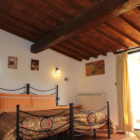 Zmax Zanobi Apartamento